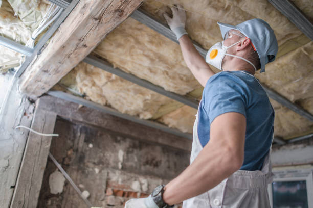 Best Insulation Contractor Near Me  in Stuart, VA