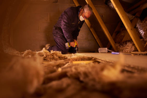 Best Local Insulation Services  in Stuart, VA