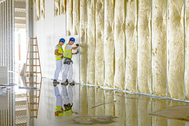 Best Crawl Space Insulation  in Stuart, VA